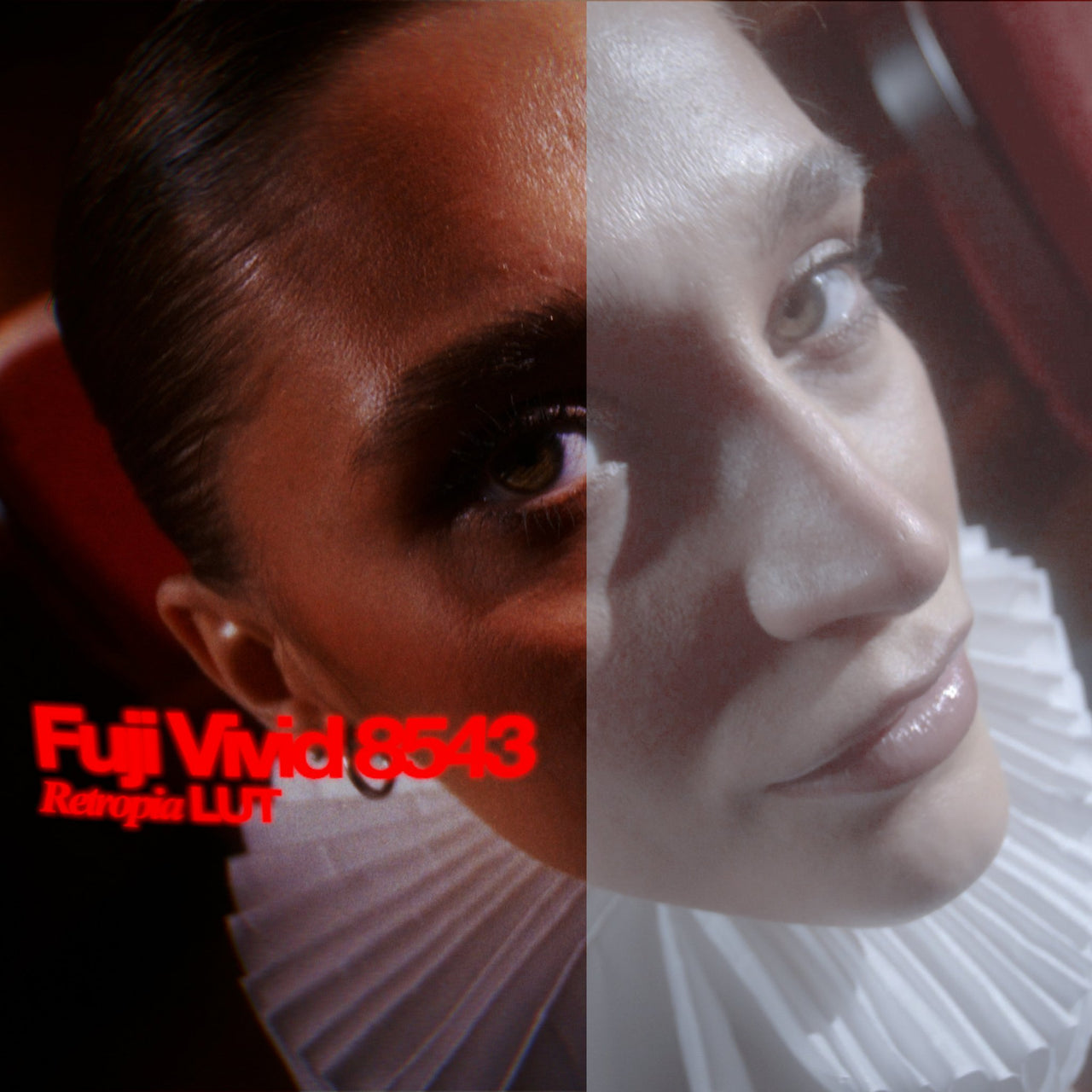 Retropia® Film Emulation LUT Pack (12 Video LUTS)