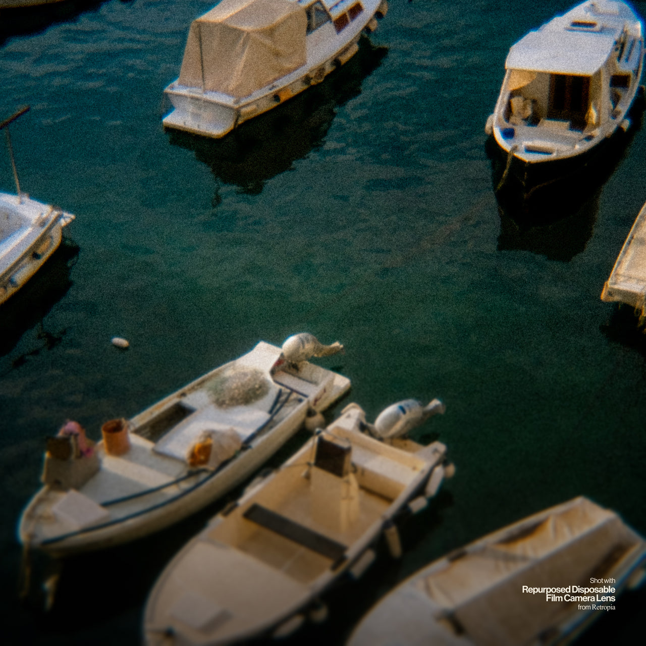 Retropia® Repurposed Disposable Film Camera Lens