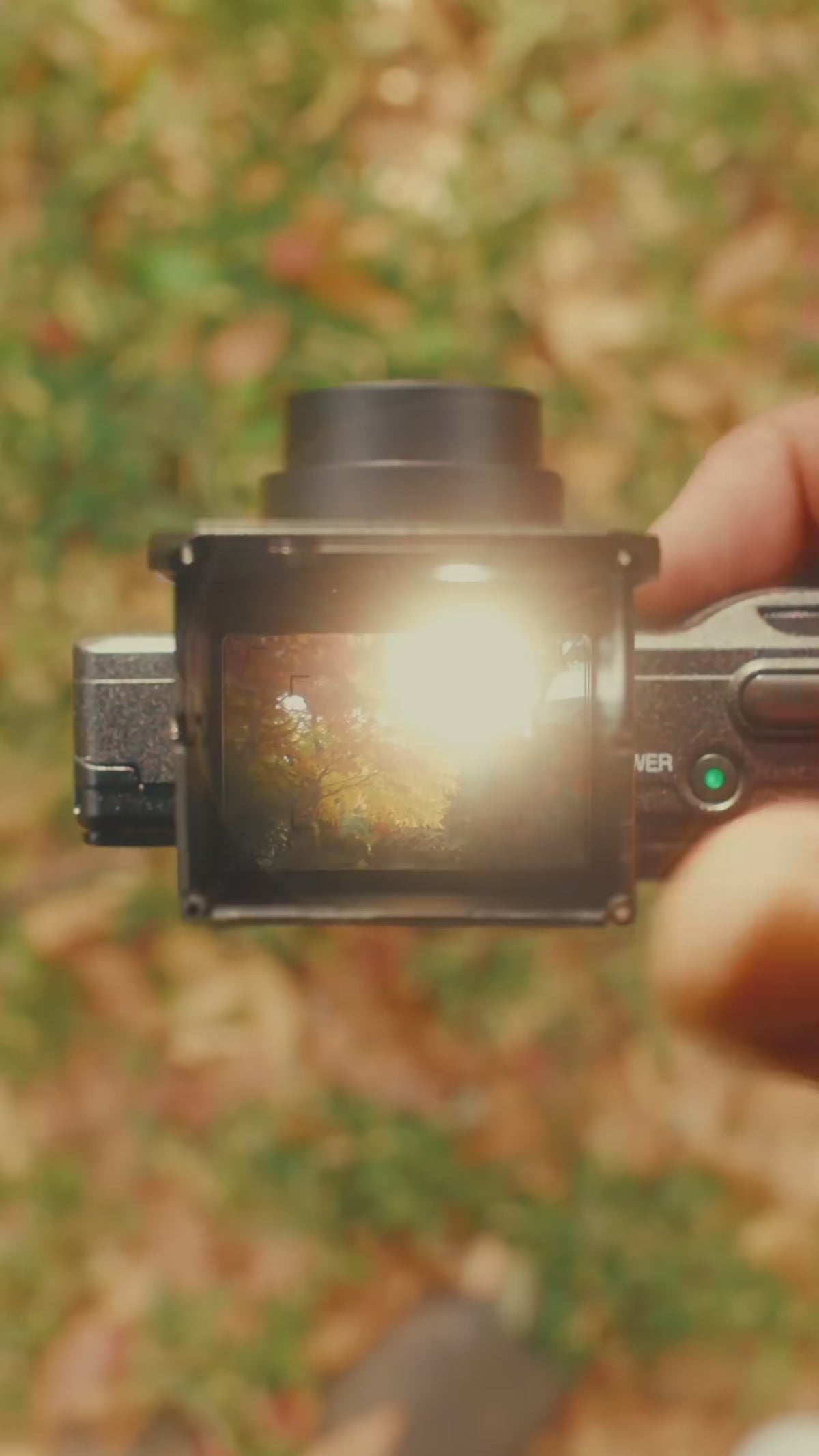 Autumn viewfinder video #UGC_Only